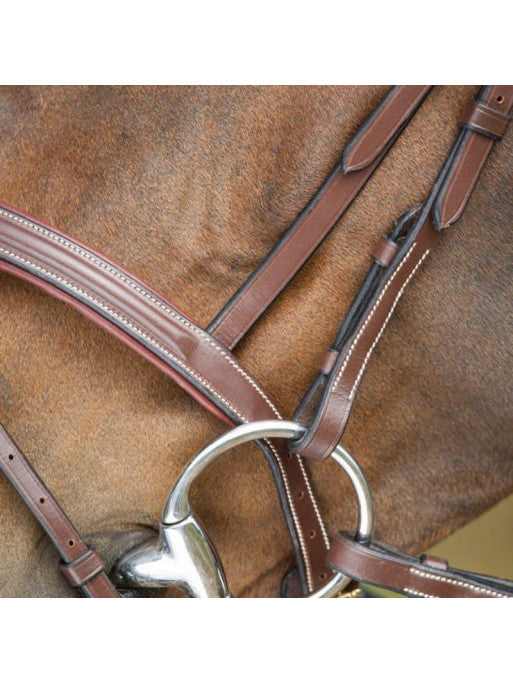 Bridon Anatomic HFI