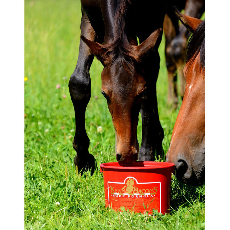 Complément alimentaire Hoof Formula 5kg Kevin Bacon's