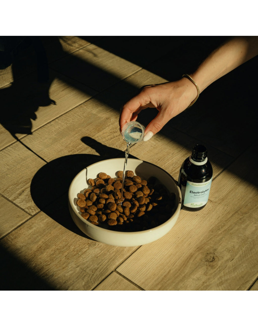 Solution réhydratante Electrolytes 1L Nutragile