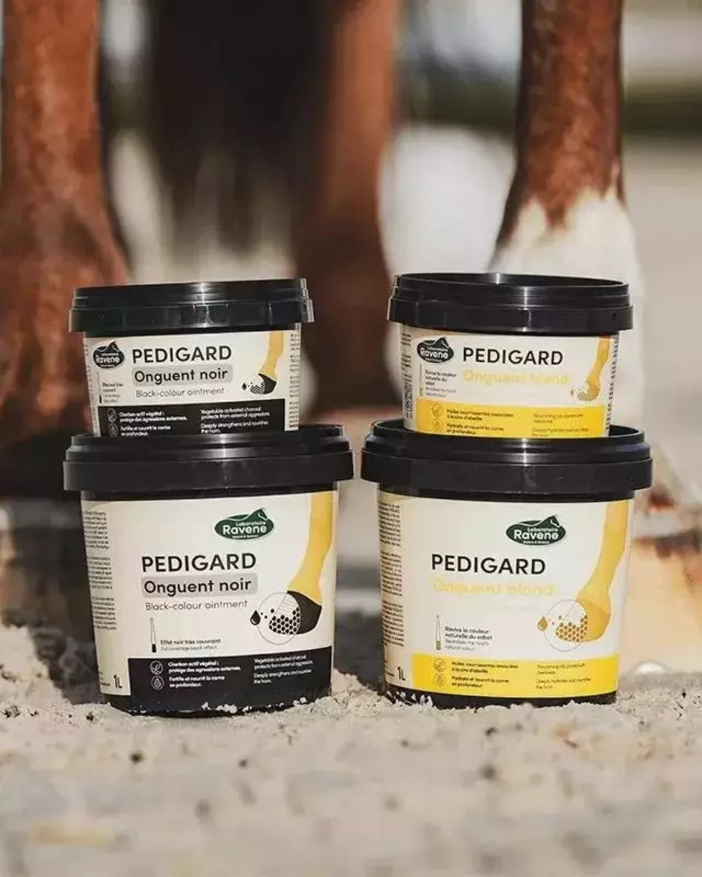 Pediguard Onguent noir 400ml RAVENE