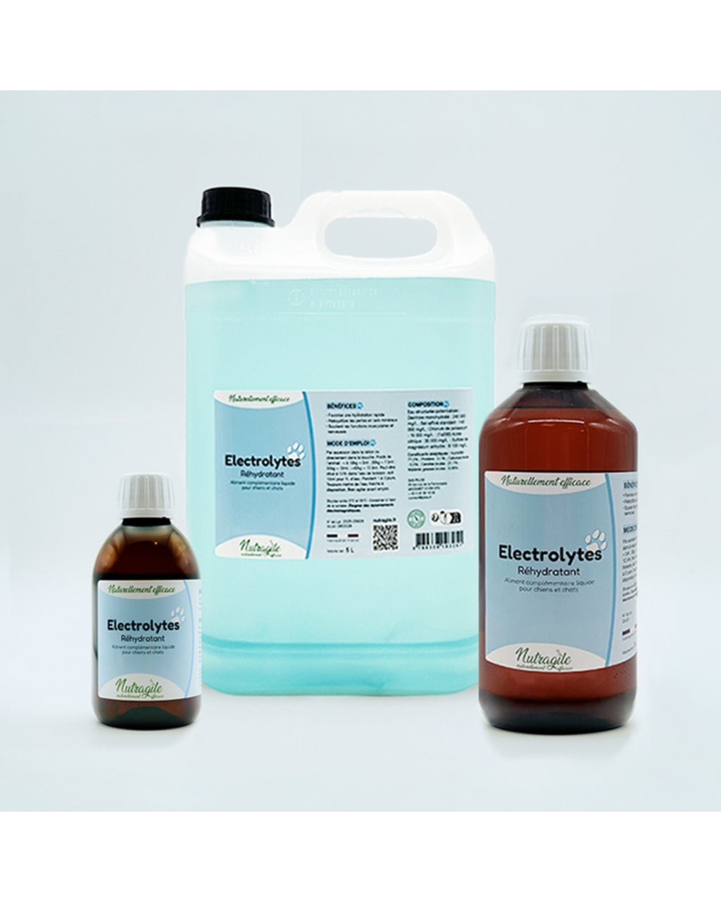 Solution réhydratante Electrolytes 1L Nutragile