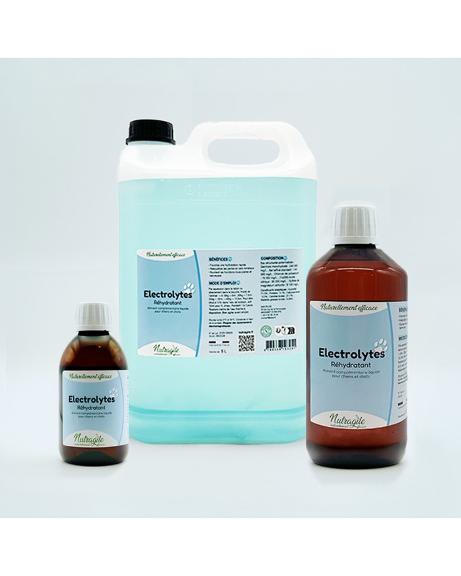 Solution réhydratante Electrolytes 1L Nutragile