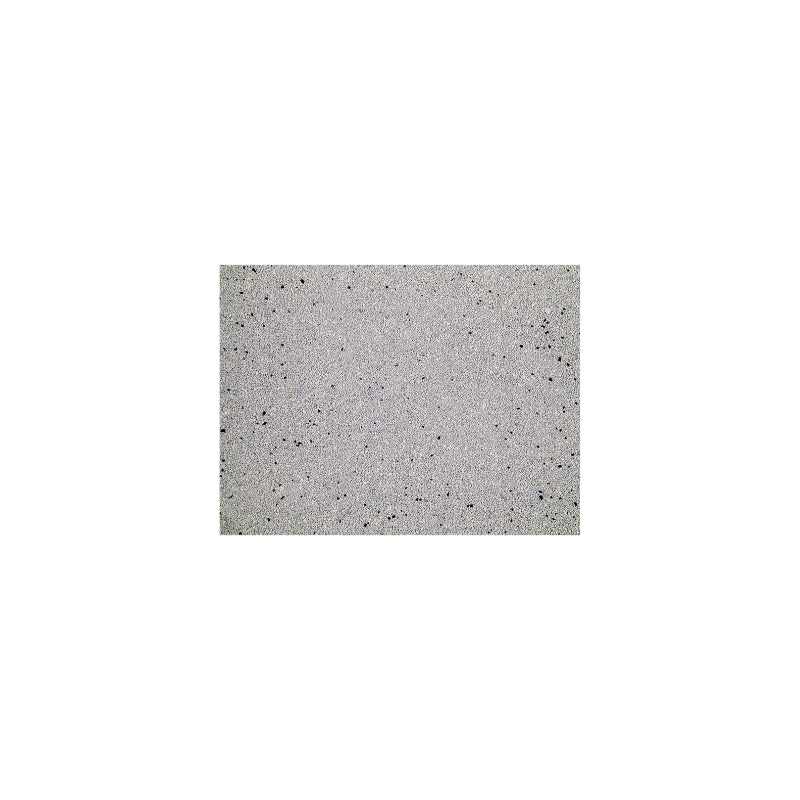 Litière chat Cat Litter Bentonite Max. Odour Control Vadigran 10KG