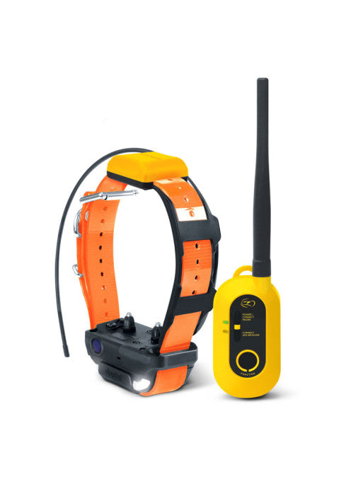 Kit repérage dressage Pathfinder 2 Dogtra