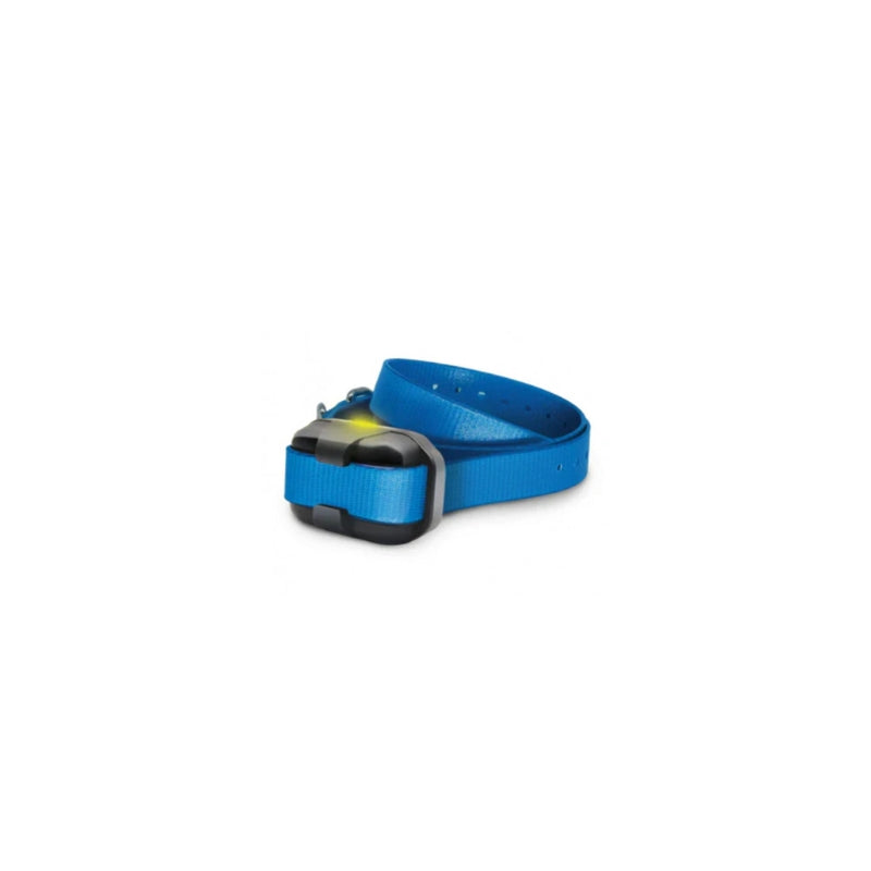 Collier de dressage supplémentaire 640x Dogtra