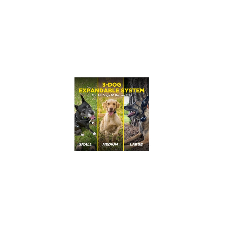 Collier de dressage supplémentaire 640x Dogtra