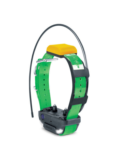 Kit repérage dressage Pathfinder 2 Dogtra