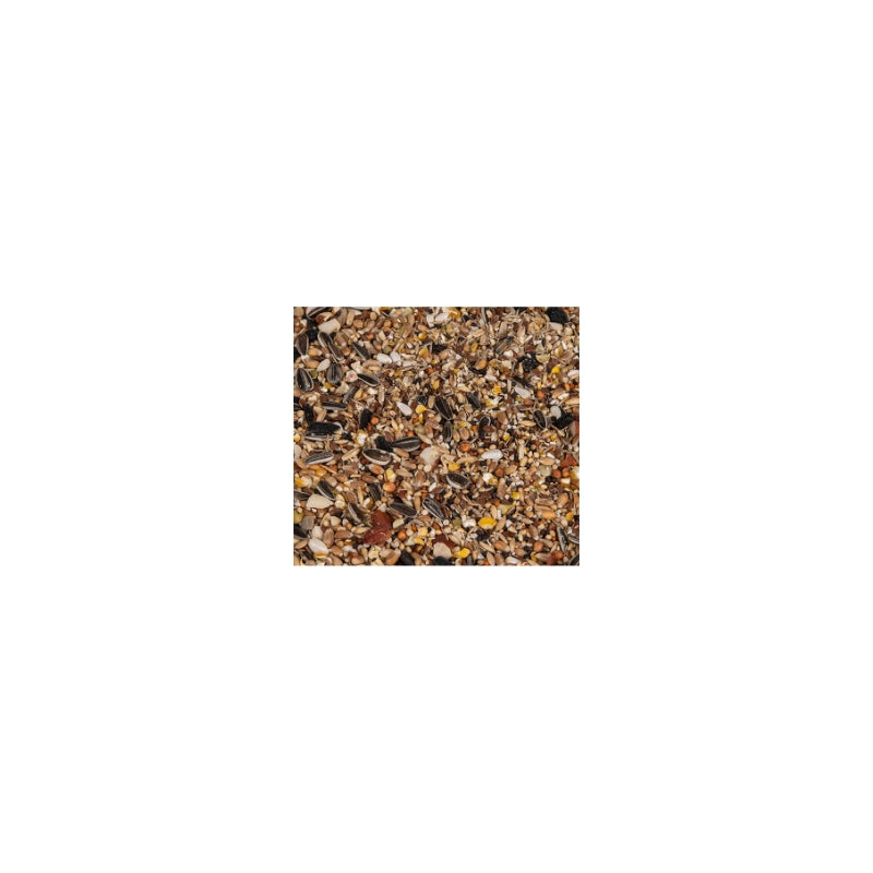 Graines 4 saisons pour oiseaux 4kg