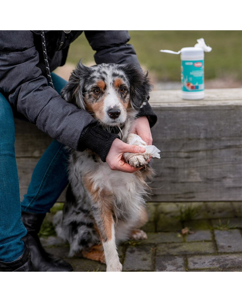 Lingettes nettoyantes universelles pour animaux