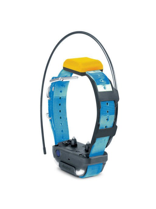 Collier supplémentaire Pathfinder 2 Dogtra