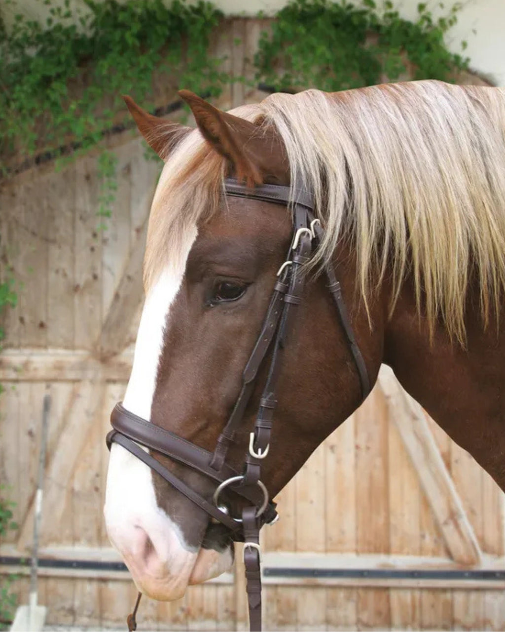 Bridon cheval de trait brun Kerbl