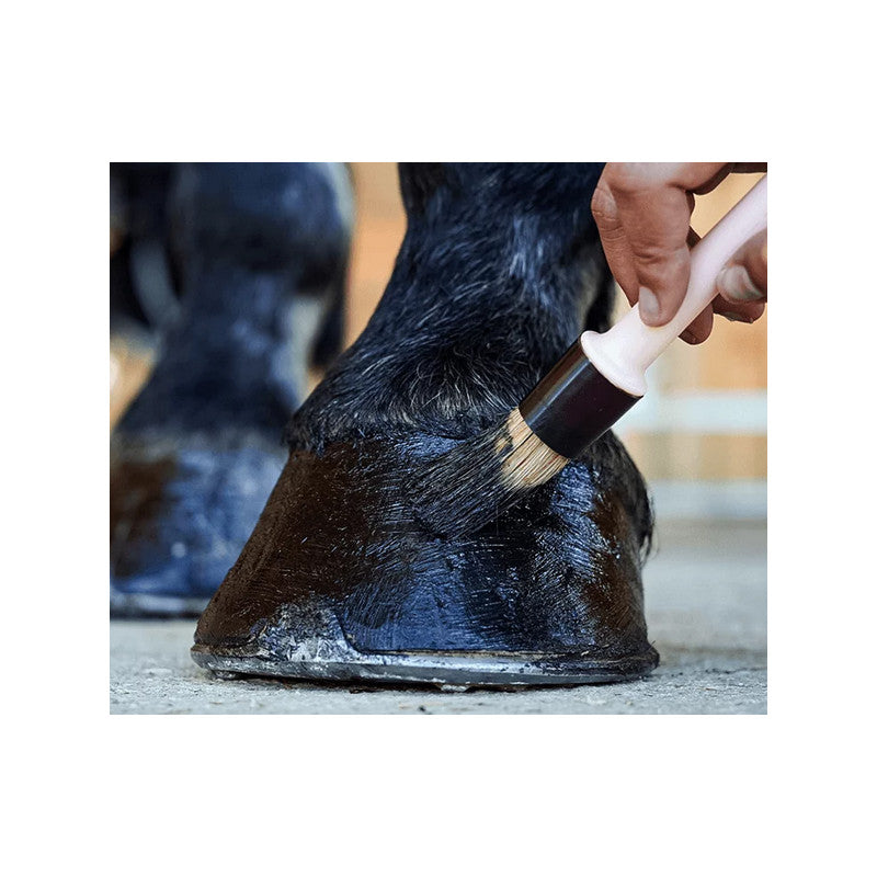 Pediguard Onguent noir RAVENE