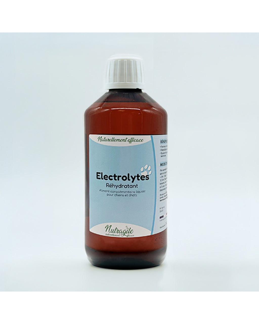 Solution réhydratante Electrolytes 1L Nutragile