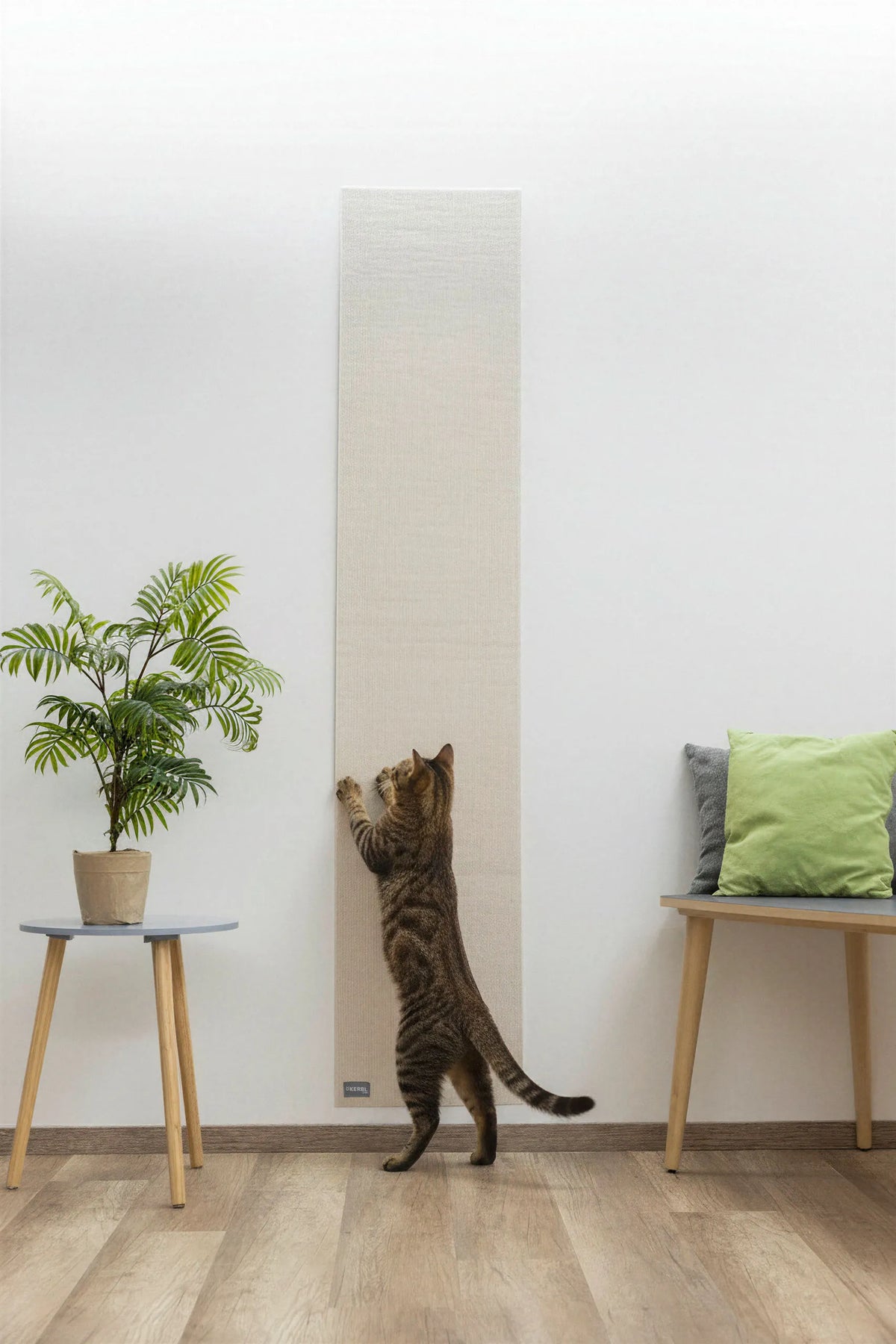 Tapis à gratter pour chat autocollant