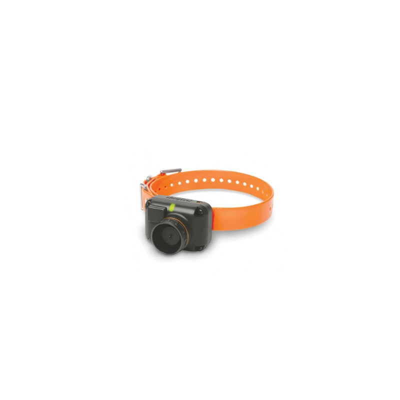 Collier récepteur seul 2600 / 2602 T&B Dogtra
