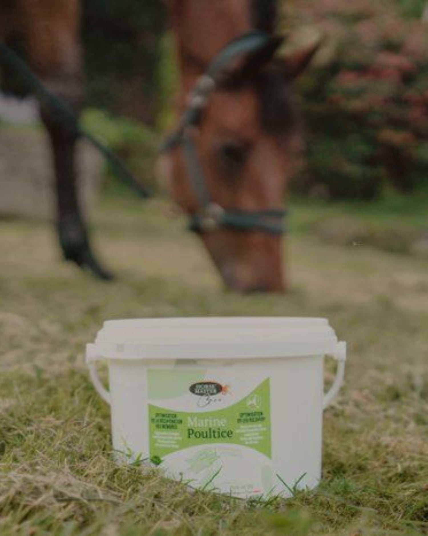 Argile Marine Poultice 3kg Horse Master