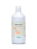 Energy Flash Booster 1L Nutragile