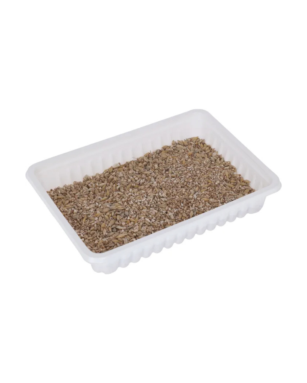 Herbe à chat 100g