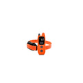 Collier de dressage 600m ProHunt