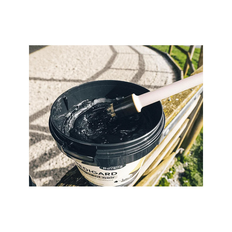 Pediguard Onguent noir RAVENE