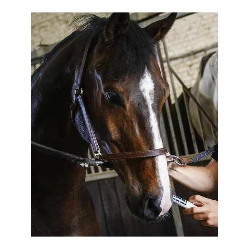 Seringues tranquillisantes Instant Magic 3x30ml NAF