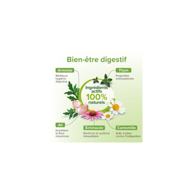Comprimés purge Vermipure chiot et petit chien Beaphar