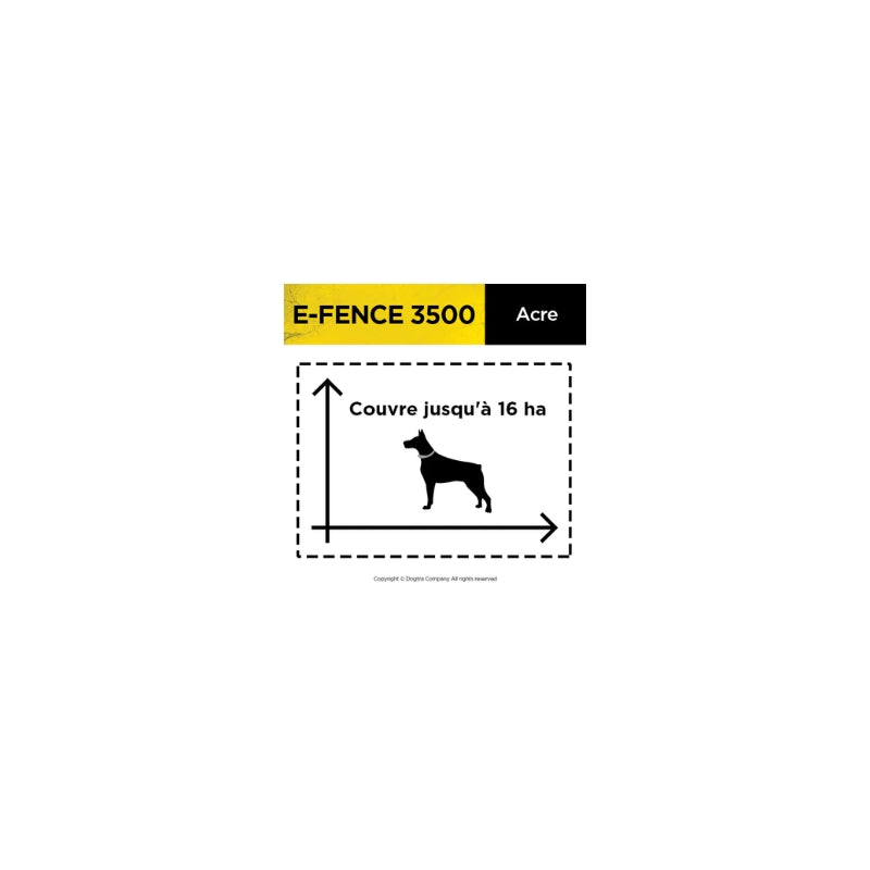Clôture anti-fugue Dogtra EF-3500