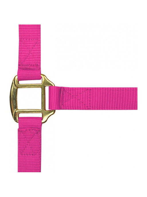 Licol nylon doublé cuir Norton