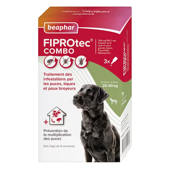 Pipettes Fiprotec Combo