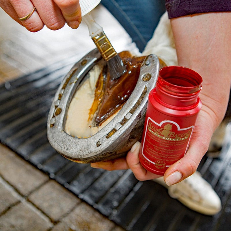 Hoof Solution Kevin Bacon