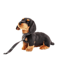 Peluche Teckel avec laisse