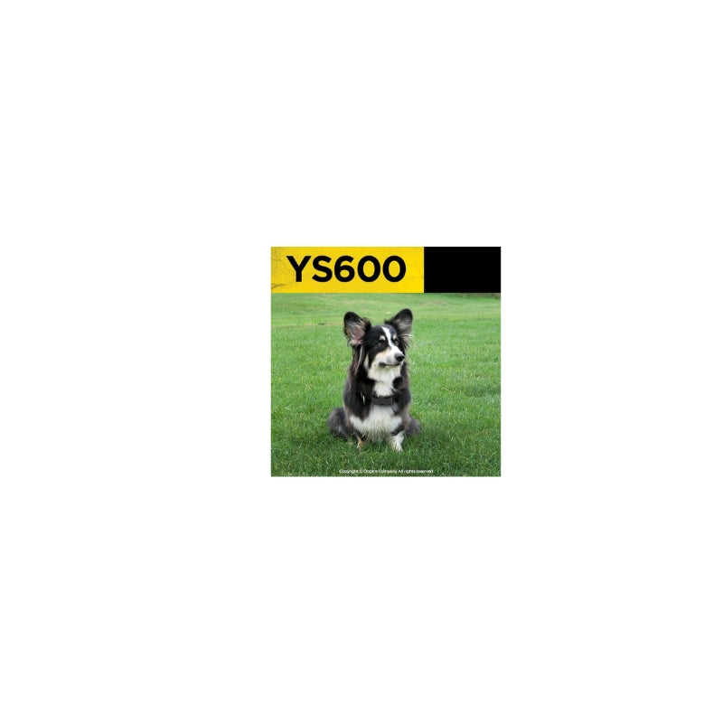 Collier DOGTRA YS600 anti-aboiement