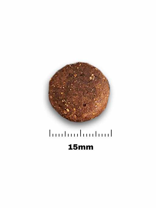 Croquettes Essentiel Grain Free Volaille 40/20 Nature Dog