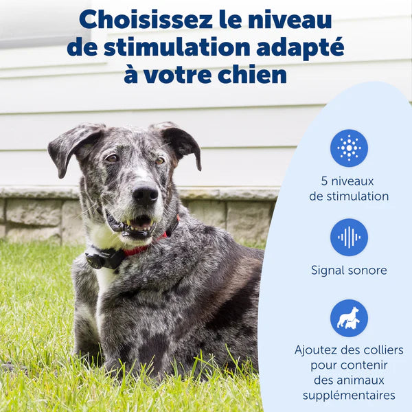 Clôture anti-fugue Wireless sans Fil PetSafe