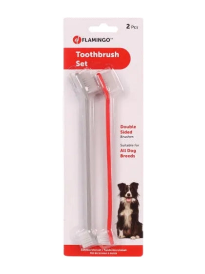 Brosse à dents pour chien deux en un