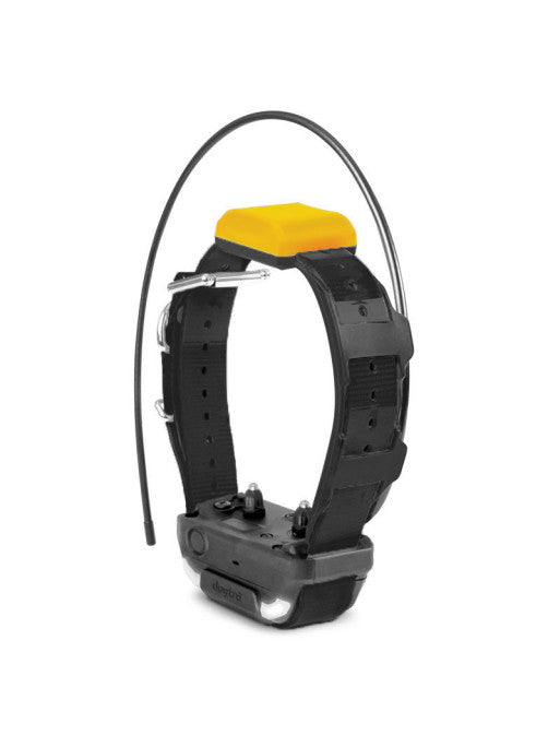 Collier supplémentaire Pathfinder 2 Dogtra