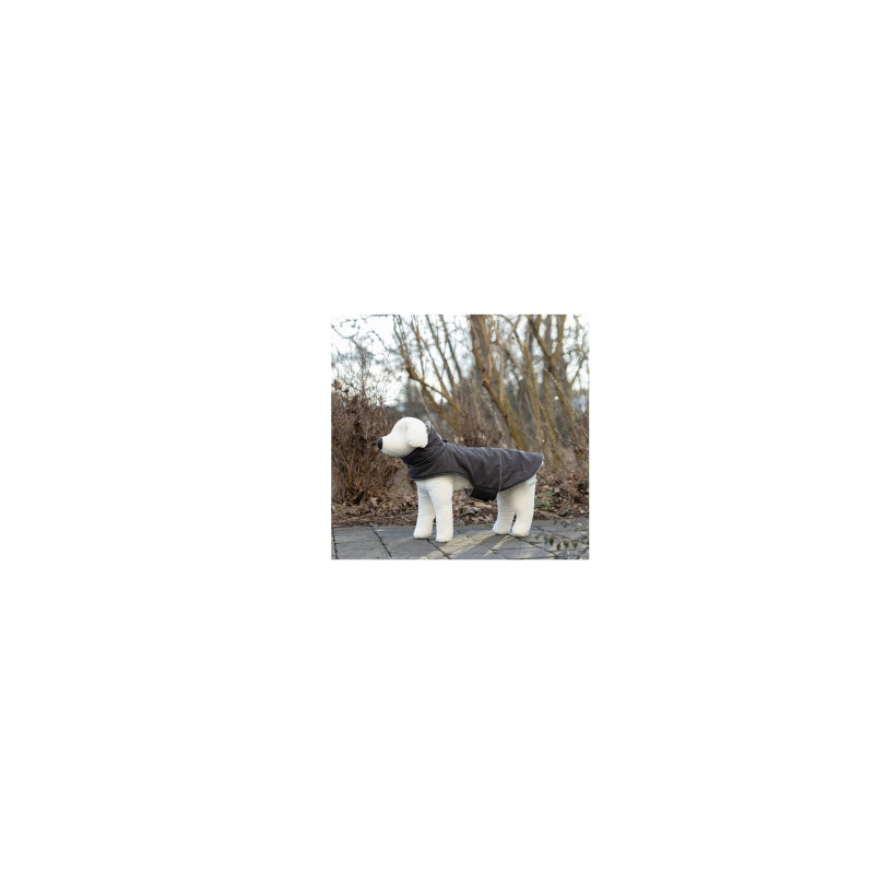 Manteau pour chien Montréal