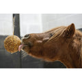 Aliment complémentaire Stall Ball 1.6kg Likit
