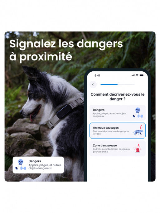Traceur GPS connecté Dog6 Tractive