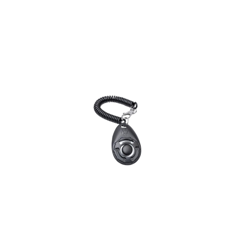 Clicker entrainement avec bracelet