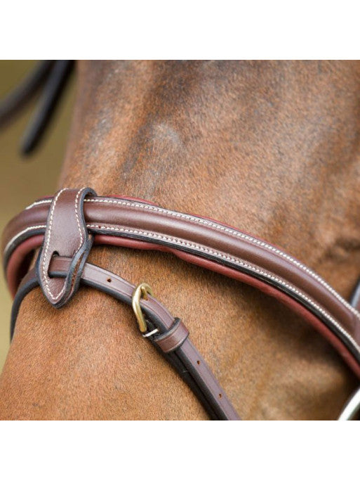 Bridon Anatomic HFI