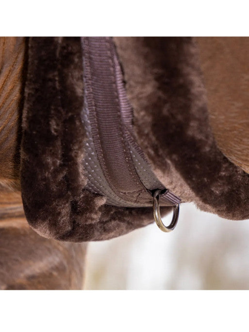 Sangle mouton anatomique Arma