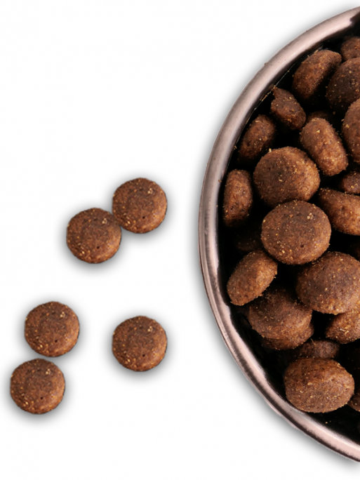 Croquettes Essentiel Grain Free Volaille 40/20 Nature Dog