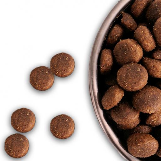 Croquettes Junior 28/18 Nature Dog 15kg
