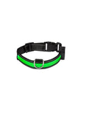 Collier Light RGB Eyenimal