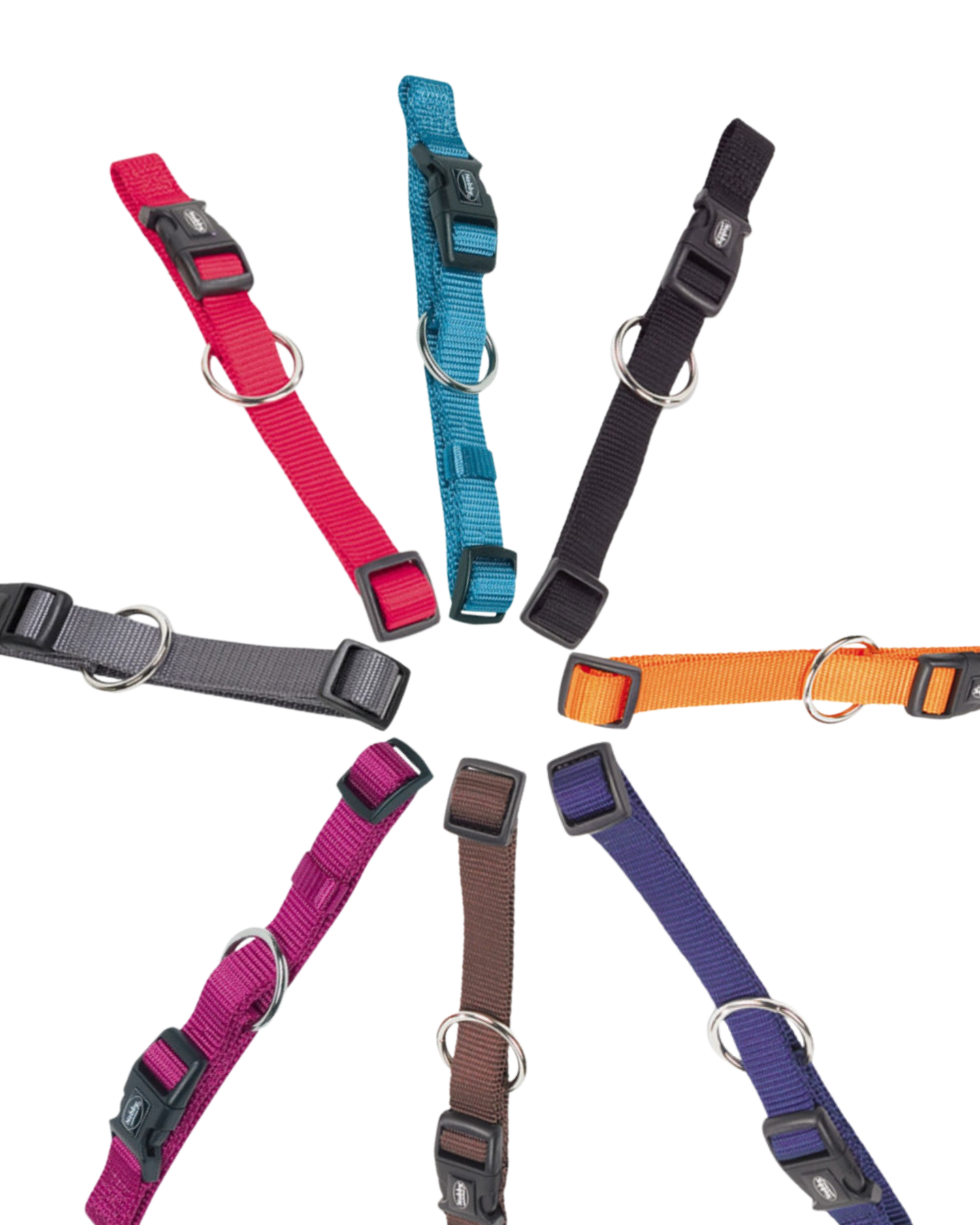 Collier Classic Nobby