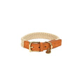 Collier pour chien brun clair  40x25mm S