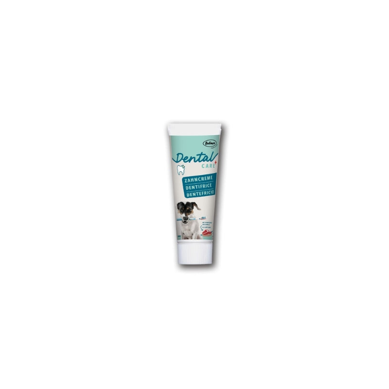 dentifrice pour chien bubimex
