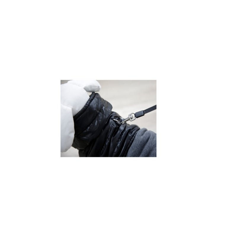 Manteau pour chien Quebec