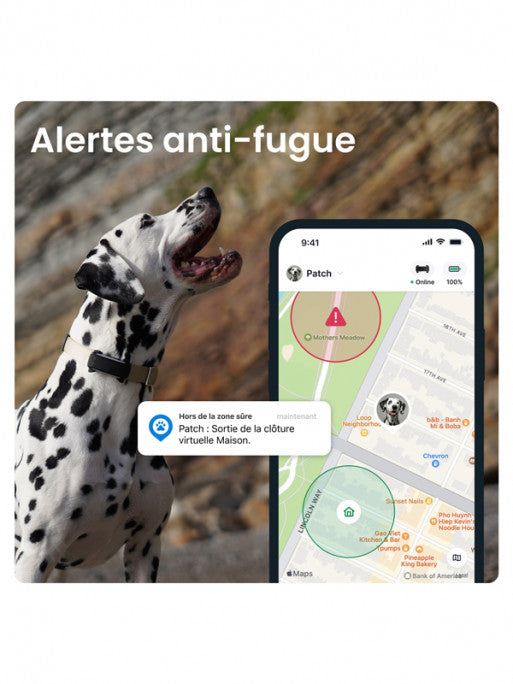 Traceur GPS connecté Dog6 Tractive